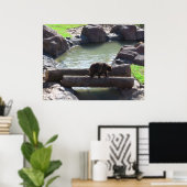 Grizzlybär-Poster Poster (Heimbüro)