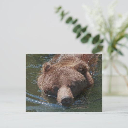 Grizzlybär Postkarte (Stehend Vorderseite)