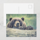 Grizzlybär Postkarte (Vorne/Hinten)