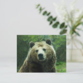 Grizzlybär Postkarte (Stehend Vorderseite)