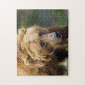 Grizzlybär Puzzle (Vertikal)