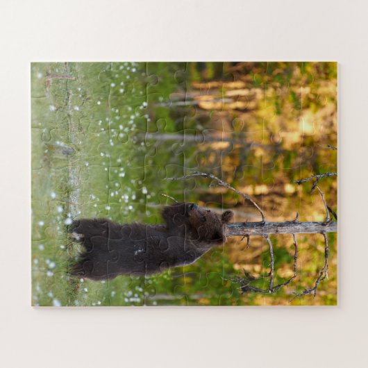 Grizzlybär Puzzle (Horizontal)