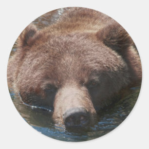 Grizzlybär Runder Aufkleber