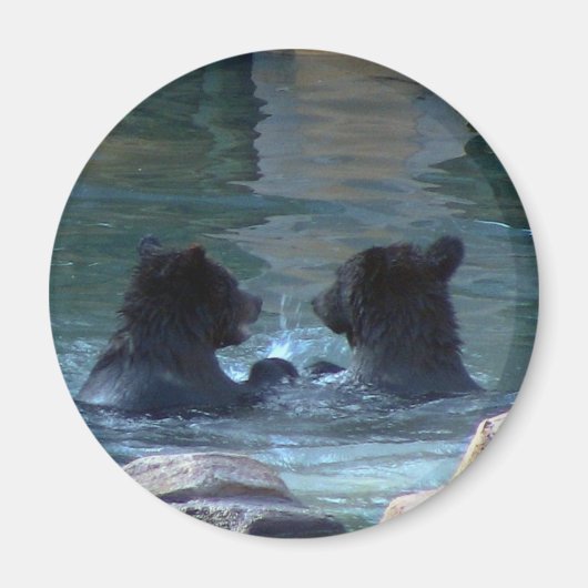 Grizzlybär Schwimmbad Party Magnet (Vorne)