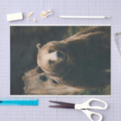 Grizzlybär Seidenpapier (Handwerk)