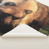 Grizzlybär sieht dich an sherpadecke (3/4)