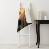 Grizzlybär sieht dich an sherpadecke (Beispiel)