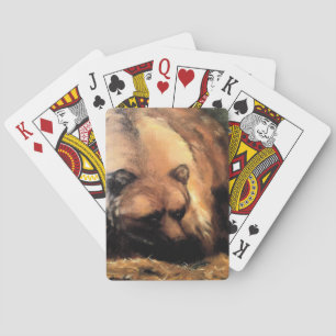 Grizzlybär sieht dich an spielkarten