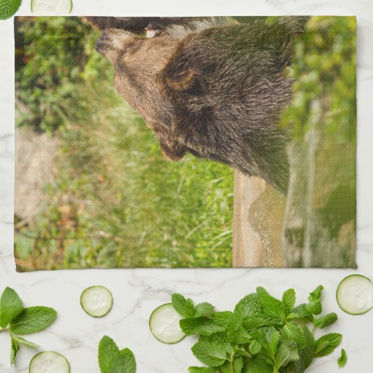 Grizzlybär-SpielFighting Handtuch (Gefaltet)