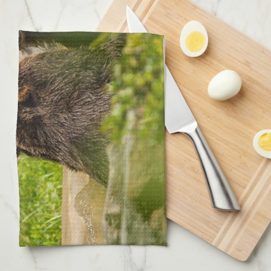 Grizzlybär-SpielFighting Handtuch (Viertel Falte)