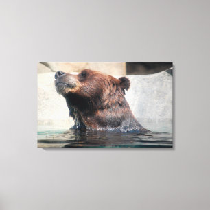 Grizzlybär spielt im Wasser Leinwanddruck