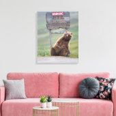 Grizzlybär spielt mit Schild (Insitu (Wohnzimmer))