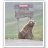 Grizzlybär spielt mit Schild Aufkleber (Vorderseite)