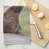 Grizzlybär spielt mit Schild Geschirrtuch (Viertel Falte)