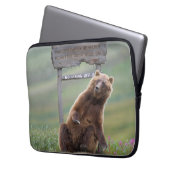 Grizzlybär spielt mit Schild Laptopschutzhülle (Vorderseite Links)