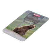Grizzlybär spielt mit Schild Magnet (Linke Seite)