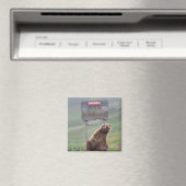 Grizzlybär spielt mit Schild Magnet (In Situ (Geschirrspüler))