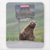 Grizzlybär spielt mit Schild Mousepad (Vorne)