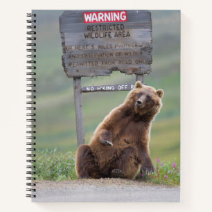 Grizzlybär spielt mit Schild Notizblock
