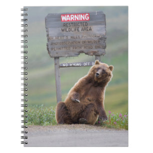 Grizzlybär spielt mit Schild Notizblock