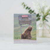 Grizzlybär spielt mit Schild Postkarte (Stehend Vorderseite)