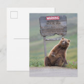 Grizzlybär spielt mit Schild Postkarte (Vorne/Hinten)