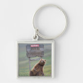 Grizzlybär spielt mit Schild Schlüsselanhänger (Vorne)