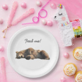 Grizzlybär-Teller Pappteller (Party)