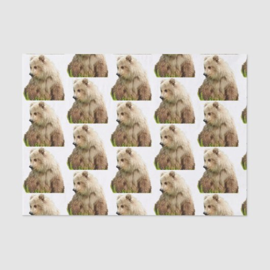 Grizzlybär Tissue Paper Seidenpapier (Vorderseite)