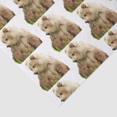Grizzlybär Tissue Paper Seidenpapier (Ausschnitt)