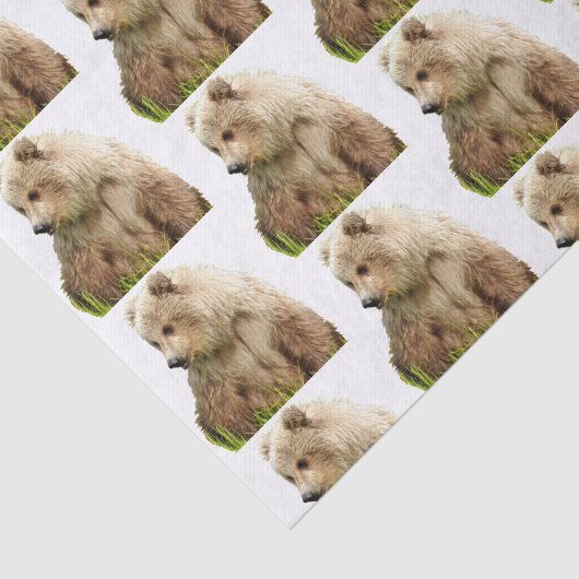 Grizzlybär Tissue Paper Seidenpapier (Ausschnitt)