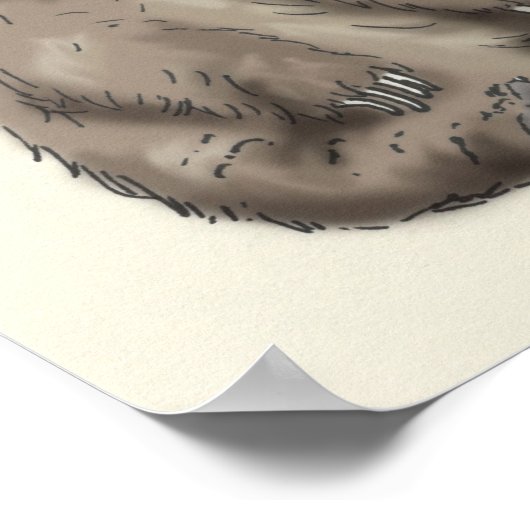 Grizzlybär trivia poster (Ecke)