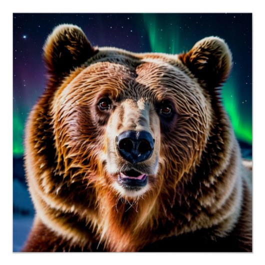 Grizzlybär und die Nordlichter Poster (Vorderseite)