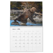 Grizzlybären - 2019 Wandkalender (Mär 2026)