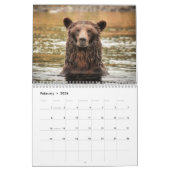 Grizzlybären - 2019 Wandkalender (Feb 2026)