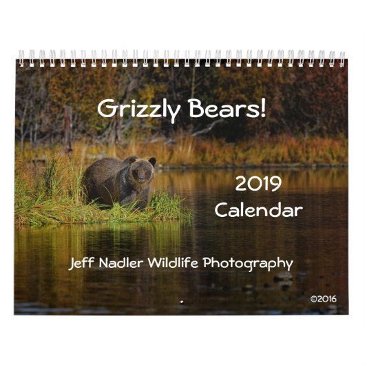 Grizzlybären - 2019 Wandkalender (Titelbild)