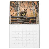 Grizzlybären - 2019 Wandkalender (Jan 2026)