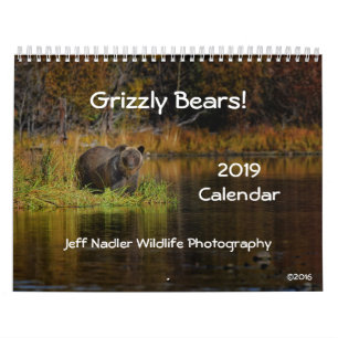 Grizzlybären - 2019 Wandkalender