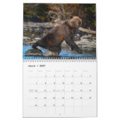 Grizzlybären - 2019 Wandkalender (Mär 2027)