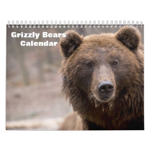 Grizzlybären 2027 kalender