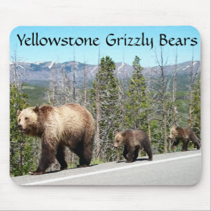 Grizzlybären aus Yellowstone Mousepad