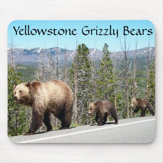 Grizzlybären aus Yellowstone Mousepad (Vorne)