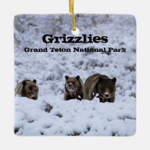 Grizzlybären im Snow Grand Teton Nationalpark Keramikornament