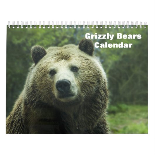 Grizzlybären Kalender (Titelbild)