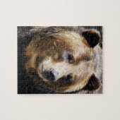 Grizzlybären-Portrait Puzzle (Horizontal)