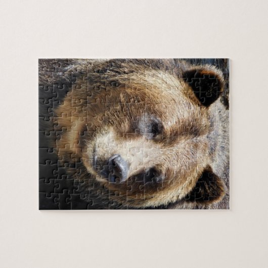 Grizzlybären-Portrait Puzzle (Horizontal)