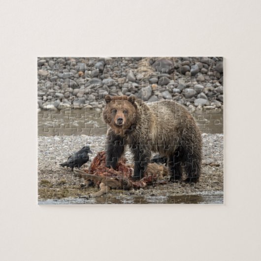 Grizzlybären-Puzzle Puzzle (Horizontal)