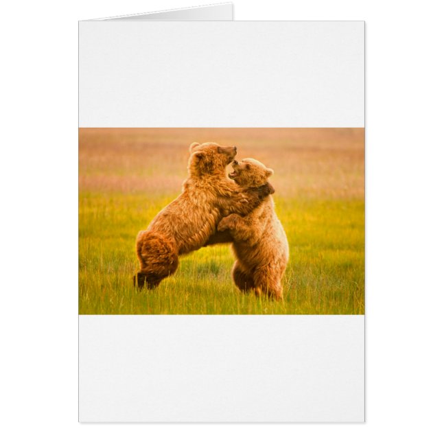 Grizzlybären-Wrestling (Vorne)
