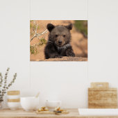 Grizzlybärenjunges Poster (Küche)