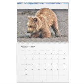 Grizzlybärenkalender Kalender (Feb 2027)